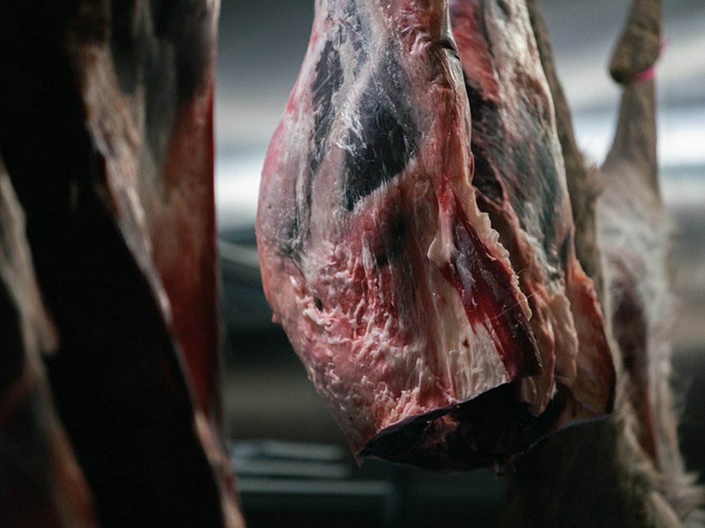 自ら捌き、加工するこだわりのジビエ