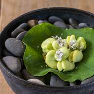 旬を迎えたそら豆を、ほんのりとわさびの香りをまとったナスタチウムの葉でクルリと巻いていただく個性的な一品。和歌山ならではの柑橘（ベルガモット）の砂糖漬けと可愛らしいコリアンダーの花を添えて。