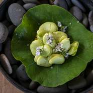 みずみずしいそら豆もスパイシーな香りのナスタチウムの葉も、自家菜園から。和歌山の風味を存分に感じていただけるよう、ベルガモットの砂糖漬けのスライスを添えました。クルリと葉で巻いてお召し上がりください。