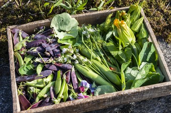 四季折々、多品種の野菜やハーブ、フルーツが実る自慢の自家菜園