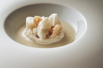 『ブラン（白）』をテーマに、ミル貝とカブの昆布〆、そして炒ったお米のピュレでまとめたモードな冷製前菜