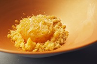 清見オレンジ、日向夏、宇和ゴールド、和歌山の八朔など旬の柑橘にエルダーフラワーのジュレを合わせたデザート。オレンジゴールドのお皿までトータルコーディネイトで柑橘愛を表現。