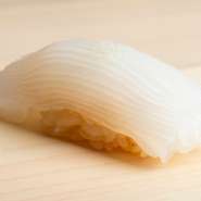弾力のある身とねっとりとした濃密な甘みがおいしいアオリイカ。その甘みを最大限に生かすため、一度急速冷凍させています。握る際にも細く切り目を入れ、咀嚼するたびに広がる旨味を引き出して。