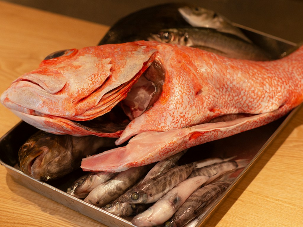 魚河岸に毎朝通い、一級の仲卸から仕入れる新鮮な旬の魚介