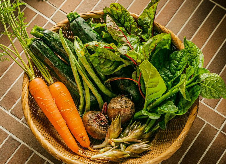採れたての無農薬・無化学肥料野菜を使用した料理の数々