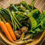 有機栽培農園がもととなるレストランだけあって、食材の新鮮さには定評があります。「ハスネファーム」の野菜は都内の飲食店にも配達されており、プロの料理人も絶賛するほどのフレッシュさとおいしさです。