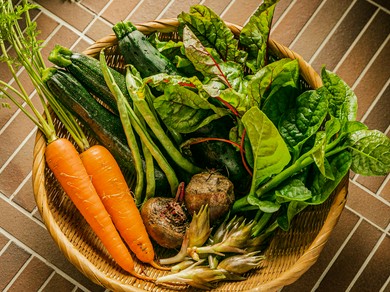 採れたての無農薬・無化学肥料野菜を使用した料理の数々