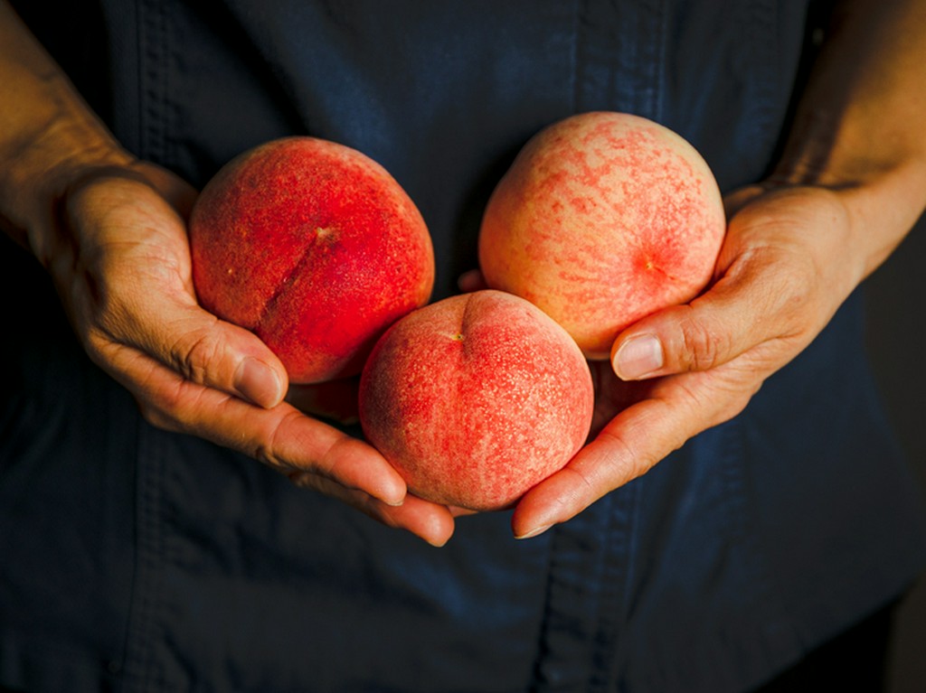 全国各地から取り寄せる旬の素材