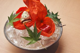 季節感を楽しむ、焼鳥を引き立てる口休めの『一品料理』※コース料理の一例