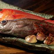 懇意にする【サスエ前田魚店】との関わりは、ただの売る買うという関係ではありません。料理人はどのような料理にするか伝え、店はそこに合う魚を仕入れ、捌きます。いわば調理の一部を担うような深い信頼関係です。