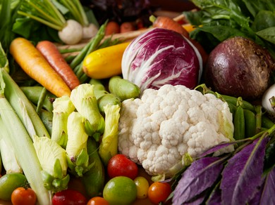 どう育つかまで見極めた地場産食材でつくる、素材感際立つ料理