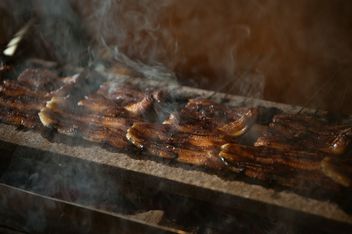 Charcoal grilled eel Shun