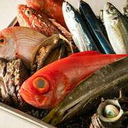 魚介類は主に東伊豆にある伊東港から仕入れ。野菜は三島や富士宮などの近郊にある、提携農家より仕入れるものもさまざま。届く食材の季節感、彩り、素材の旨みを引き出すよう調理し、お客様に提供しています。