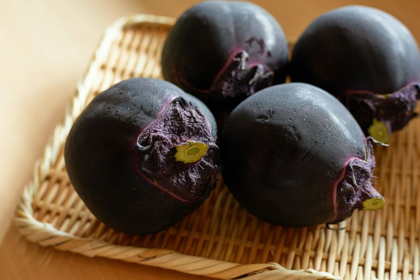 食材から調味料まで、徹底して貫かれる新潟テロワール