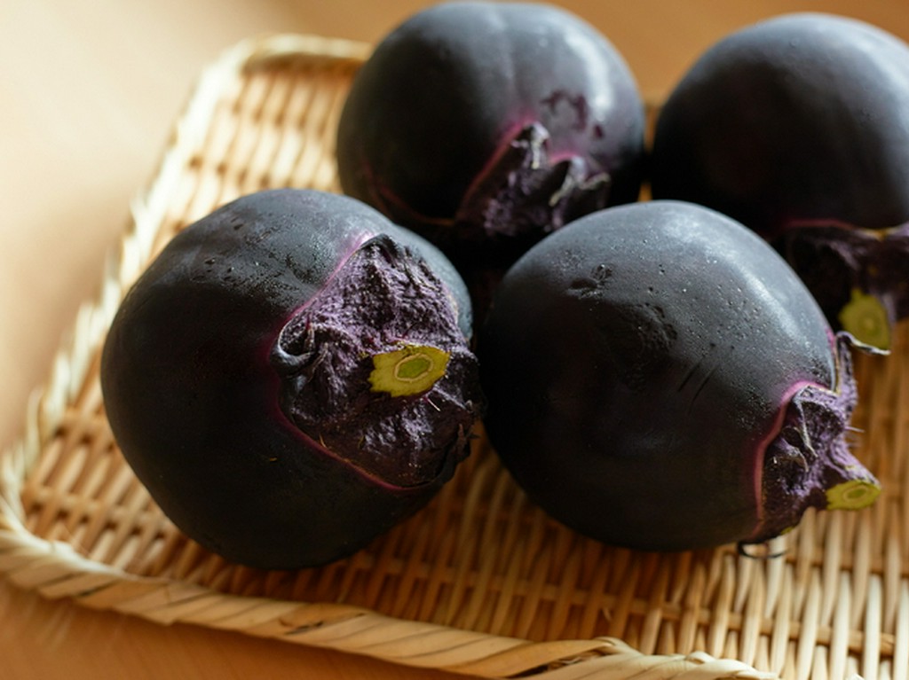 食材から調味料まで、徹底して貫かれる新潟テロワール