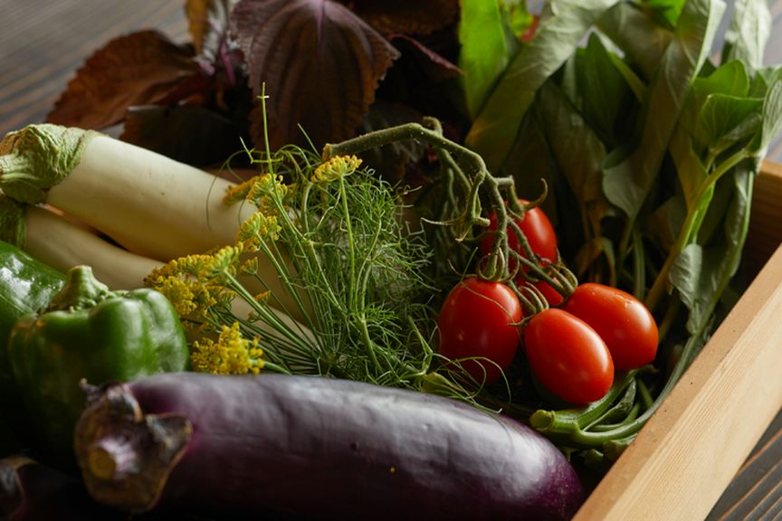 地場の有機野菜と自ら育てた香草などを使う、イタリアンのコース