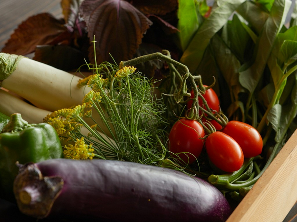 地場の有機野菜と自ら育てた香草などを使う、イタリアンのコース