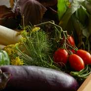 夏には長ナスやトマトのシシリアンルージュなどが厨房に並びます。いずれも、シェフが朝に仕入れた地場野菜ばかり。他にもフェンネルやディルは自ら畑で育てます。これら新鮮野菜が、おまかせコースを彩ります。