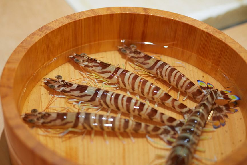 魚介のみならず、寿司米や調味料まで地元産にこだわる