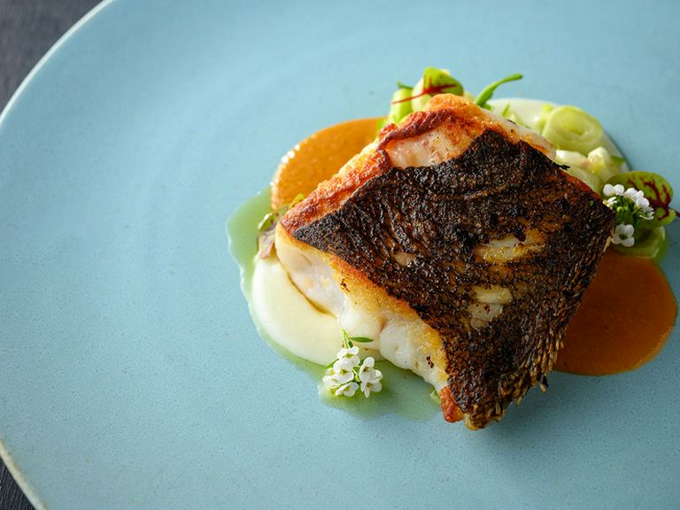 魚料理の『ヒラメのポワレ スープ・ド・ポワソンのソースとプンタレッタのサラダ』