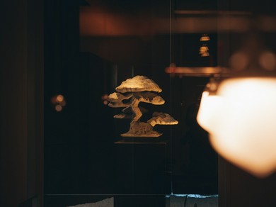 トップアーティストとのコラボレーションで生み出される店内