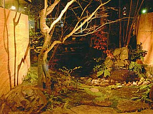 美しい日本庭園を眺めながら、美味しいそばを堪能してください