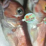魚介は、主に日本海、富山湾のものが集まる金沢の市場から仕入れています。日本海の魚は太平洋のものと比べ、美味みが強く、ソースを使ったフレンチと相性がいいのです。