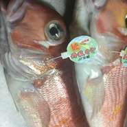 フレンチと相性がいい、日本海の魚介を使用