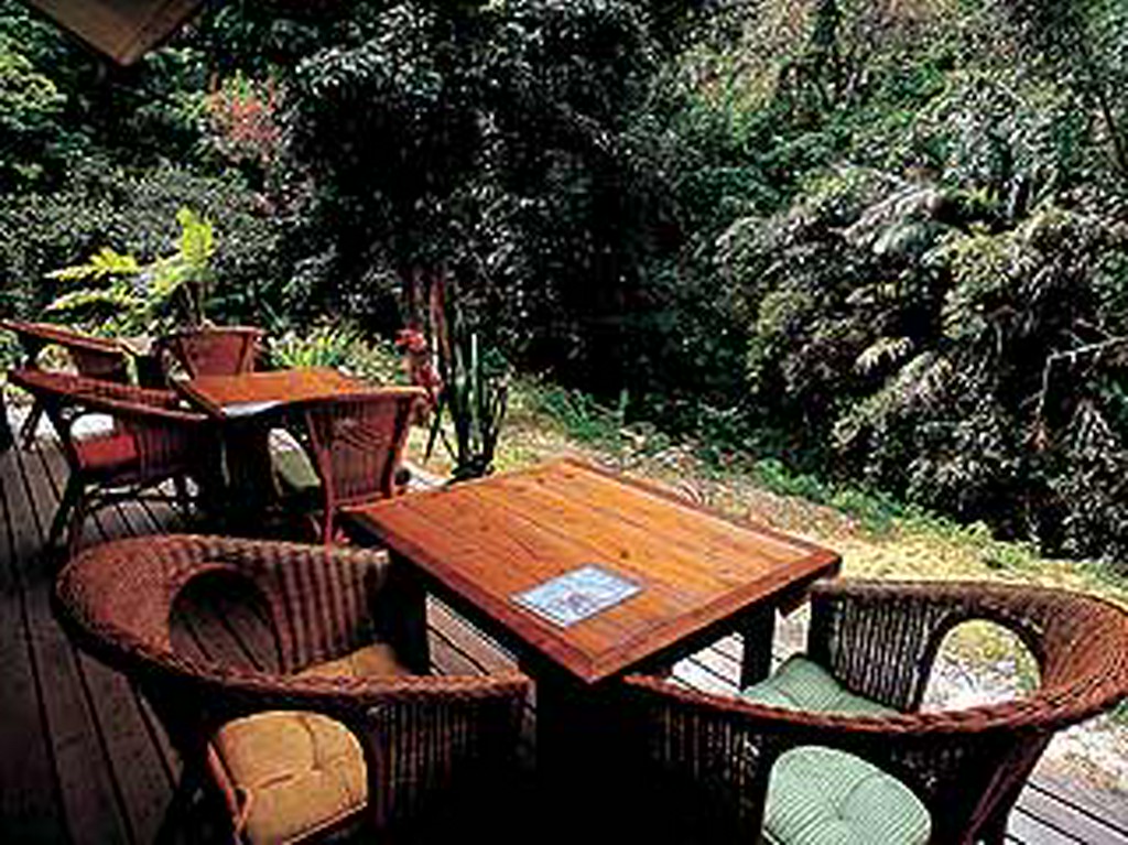 目の前には森が広がるテラス席