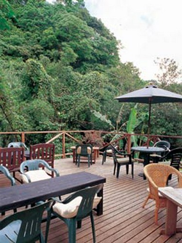 壁材のヒノキにはリーリング効果があるとか・・・?