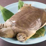 すっぽん、クエは鍋で食べるのが一番。すっぽんをじっくり煮出したスープは、濃厚な味わいがあり、しめの雑炊が大変美味しくいただけます。クエ鍋は、定番の濃厚な冬の鍋も、あっさり仕立ての夏の鍋も人気です。