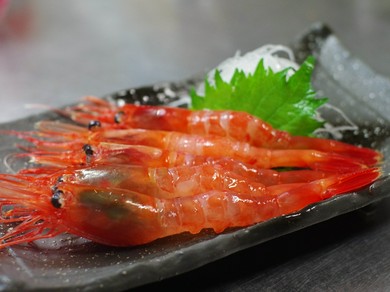 大ぶりで良質。獲れたてピチピチの甘エビ