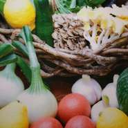 旬の野菜をそれぞれに合った調理方法で作られるお料理は絶品です。