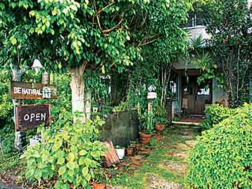 緑に囲まれた隠れ家的な空間