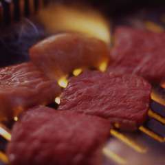 肉が素早く炙れる強い火力のロースター