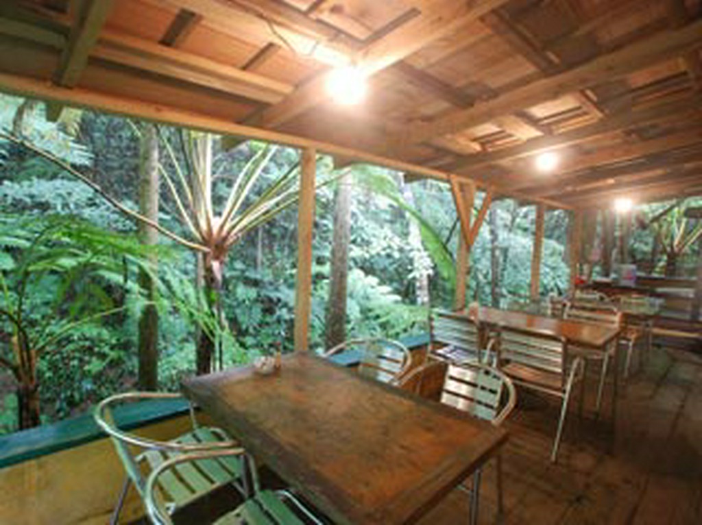 やんばるらしい木々に囲まれた店内