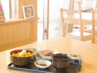 獲れたて新鮮なウニ丼を召し上がれ