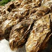北海道のかきえもんなど、季節ごとのブランド牡蠣を味わえます。リーズナブルな価格なのも魅力的。