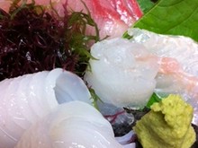 忘年会に人気の鳥取県のお店 忘年会 新年会特集 21 ヒトサラ