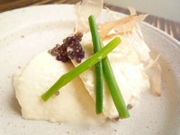 自家製チーズ豆腐