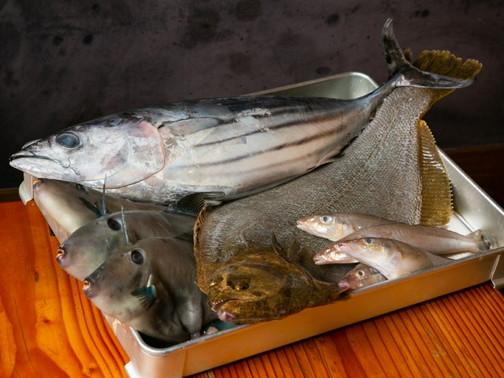 瀬戸内、山陰、など、全国から入荷する厳選鮮魚
