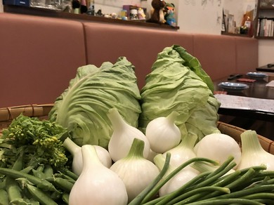 美味しい野菜たち