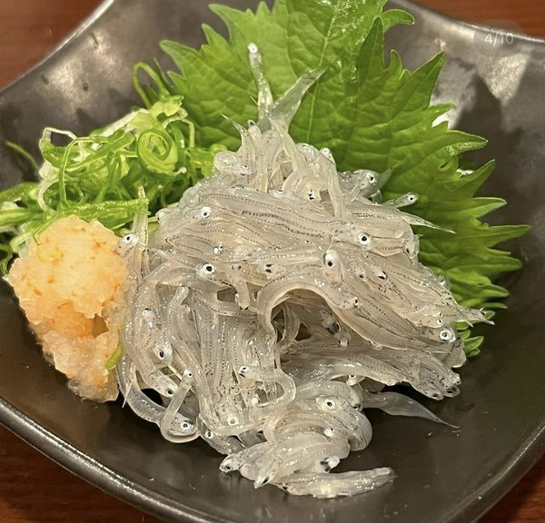 ドロメポン酢