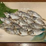 メヒカリ、ニロギ、マイワシ、ウルメなど
