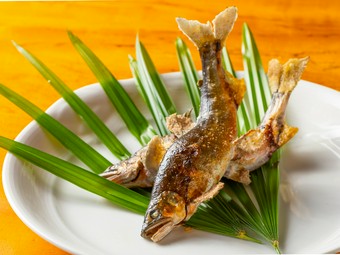 安田川の天然鮎塩焼き