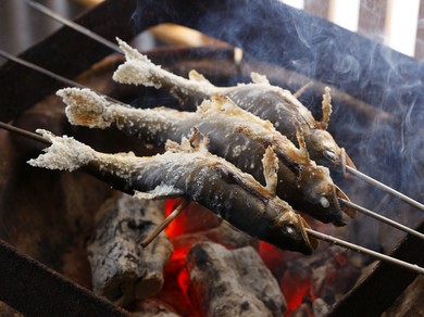 夏場は解禁、安田川天然あゆの塩焼は旨い。