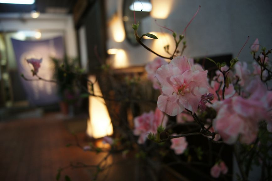 いらっしゃいませ♪