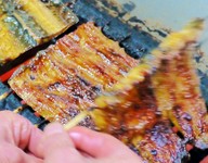 うなぎ弁当、うなぎ蒲焼をご注文にて承ります。
ご来店のお時間と商品をご注文下さい。
お受け取り時間の1時間前までに注文下さい。