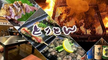 Charcoal grill Toriton