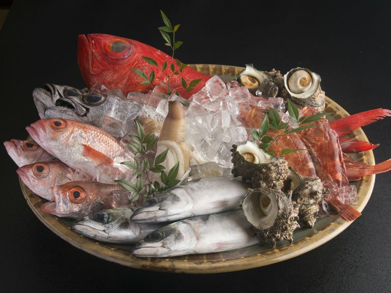 玄界灘で水揚げされる新鮮な旬の魚介をたっぷり堪能